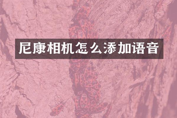 尼康相机怎么添加语音