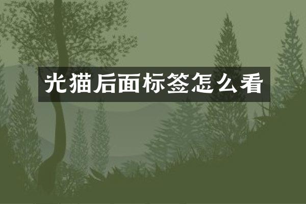 光猫后面标签怎么看