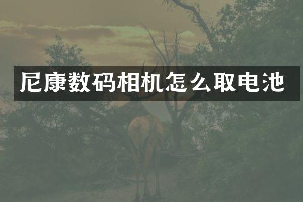 尼康数码相机怎么取电池