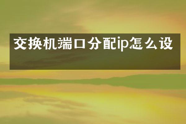 交换机端口分配ip怎么设置