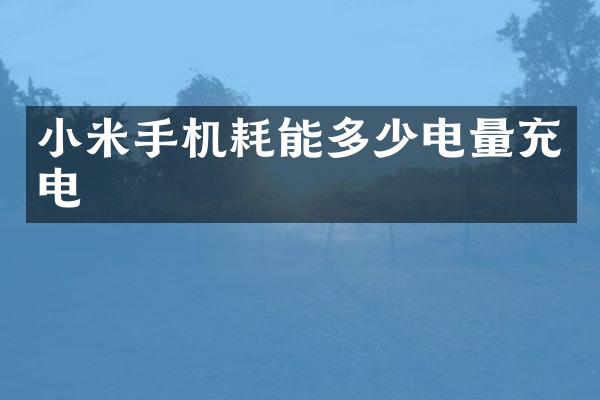 小米手机耗能多少电量充电