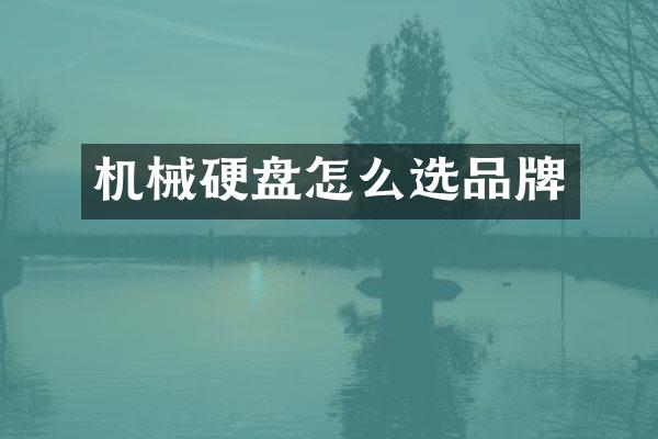 机械硬盘怎么选品牌