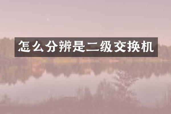 怎么分辨是二级交换机