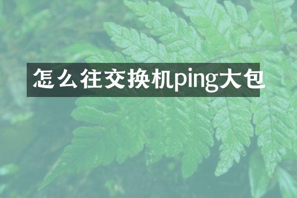 怎么往交换机ping大包