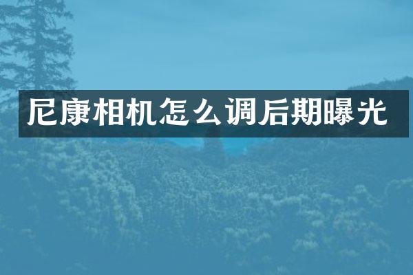 尼康相机怎么调后期曝光