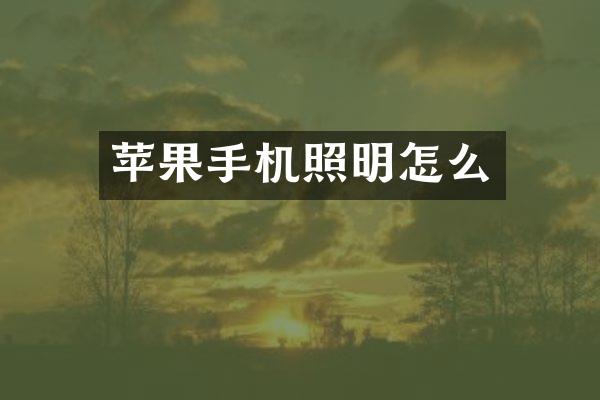 苹果手机照明怎么