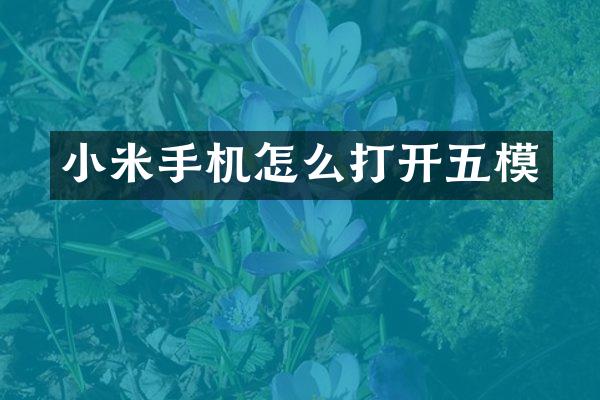 小米手机怎么打开五模