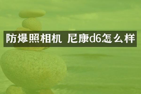 防爆照相机 尼康d6怎么样