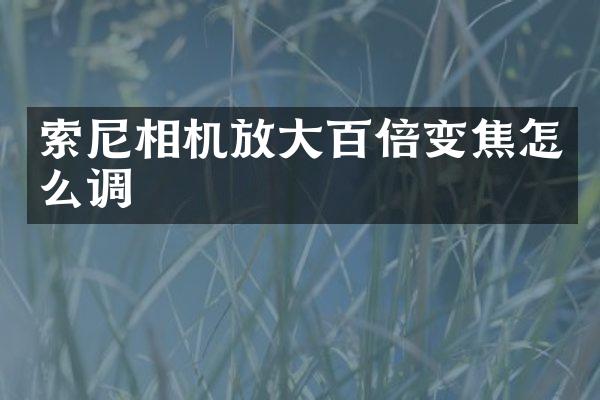 相机放大百倍变焦怎么调