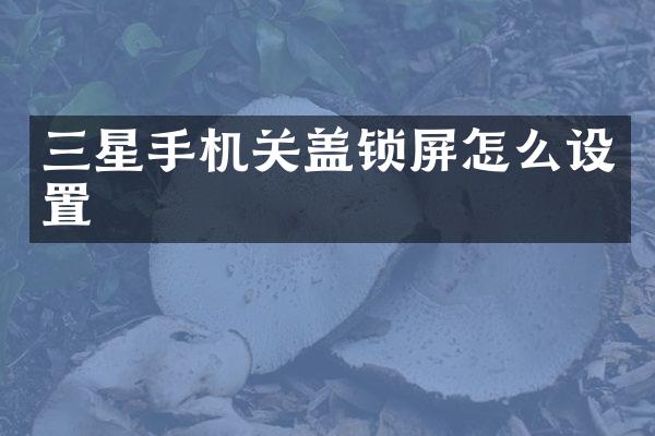 三星手机关盖锁屏怎么设置