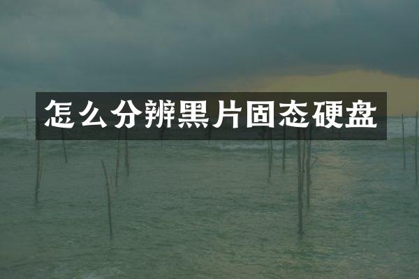 怎么分辨黑片固态硬盘