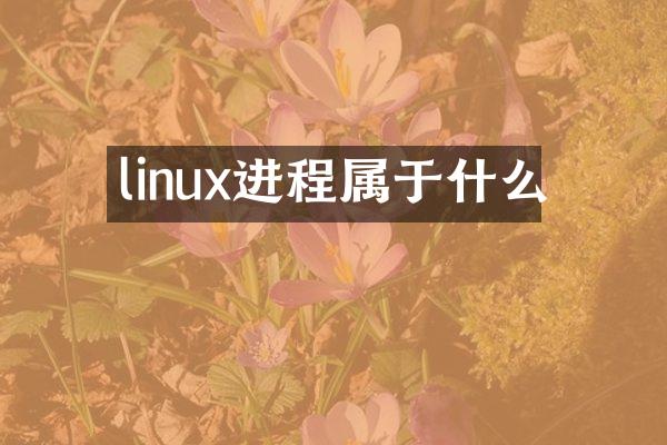 linux进程属于什么