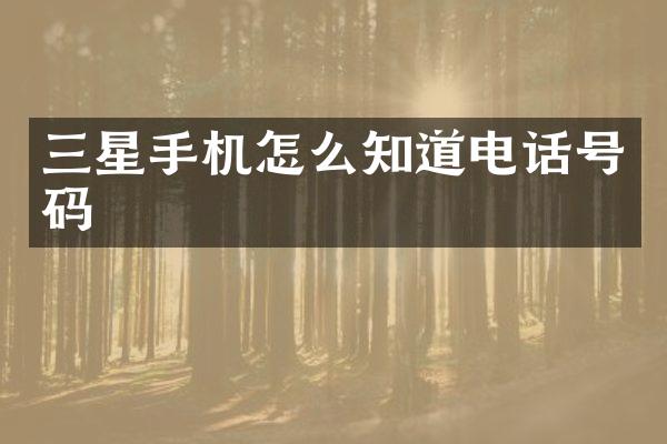 三星手机怎么知道电话号码