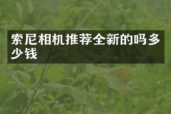 相机推荐全新的吗多少钱