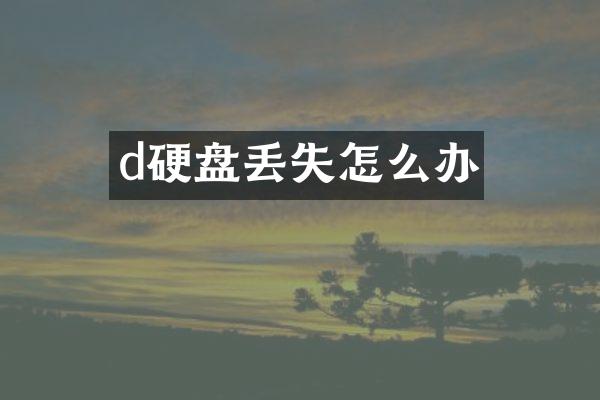 d硬盘丢失怎么办