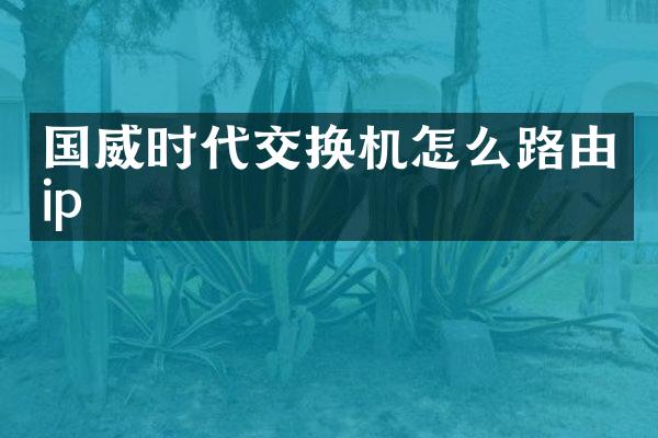 国威时代交换机怎么路由ip