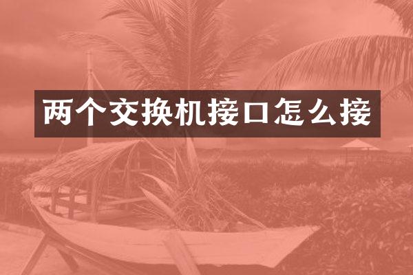 两个交换机接口怎么接