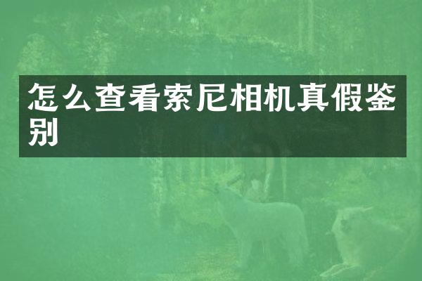 怎么查看相机真假鉴别