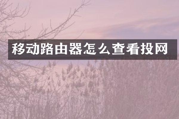 移动路由器怎么查看投网