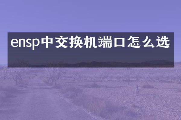 ensp中交换机端口怎么选择