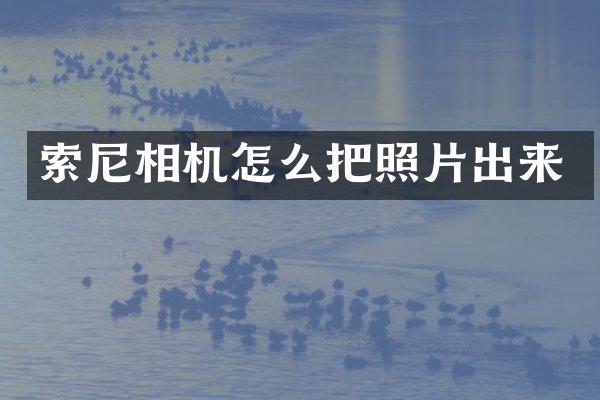 相机怎么把照片出来