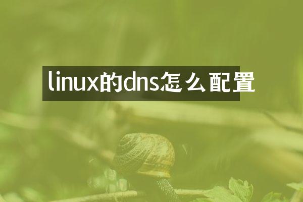 linux的dns怎么配置