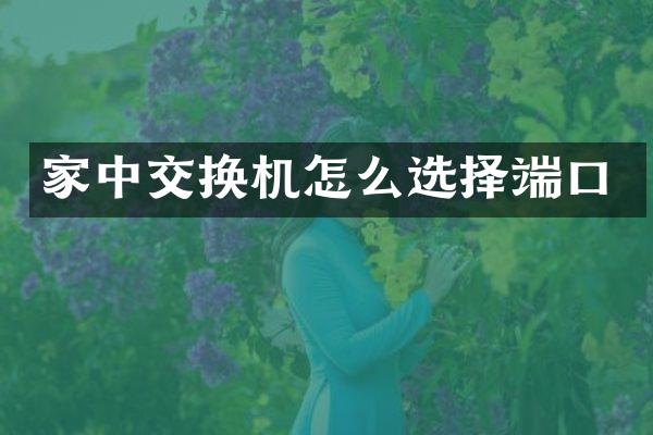 家中交换机怎么选择端口