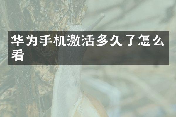 华为手机激活多久了怎么看