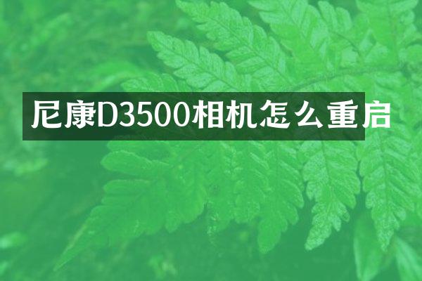 尼康D3500相机怎么重启