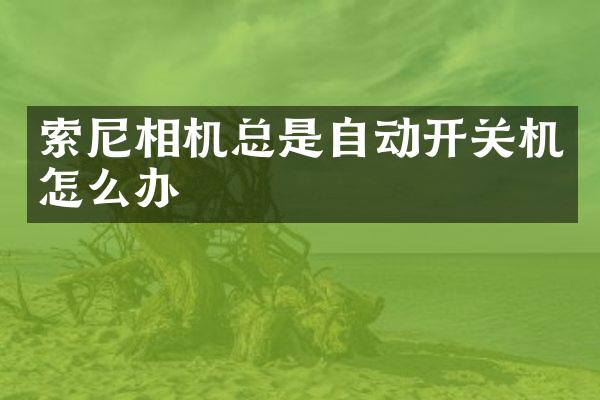 相机总是自动开关机怎么办