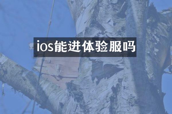 ios能进体验服吗