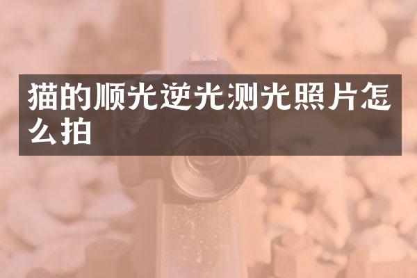 猫的顺光逆光测光照片怎么拍