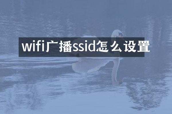 wifi广播ssid怎么设置