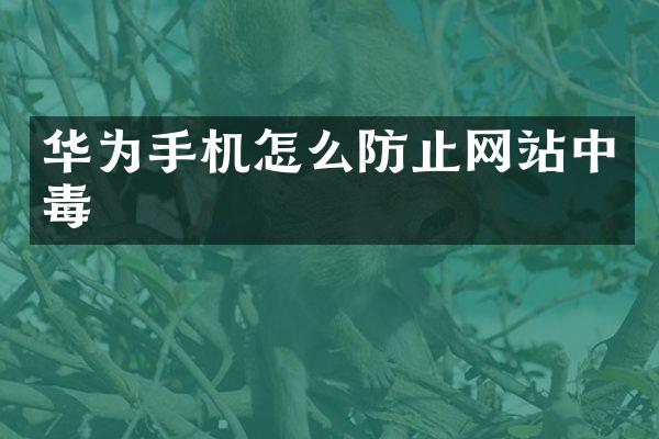 华为手机怎么防止网站中毒