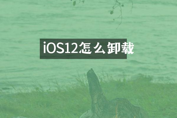 iOS12怎么卸载