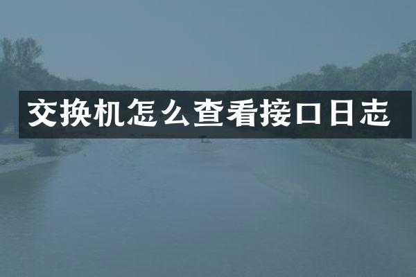 交换机怎么查看接口日志