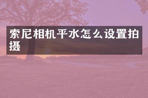 相机平水怎么设置拍摄