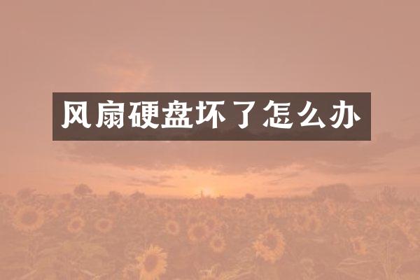 风扇硬盘坏了怎么办