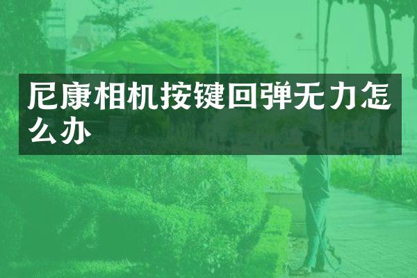 尼康相机按键回弹无力怎么办