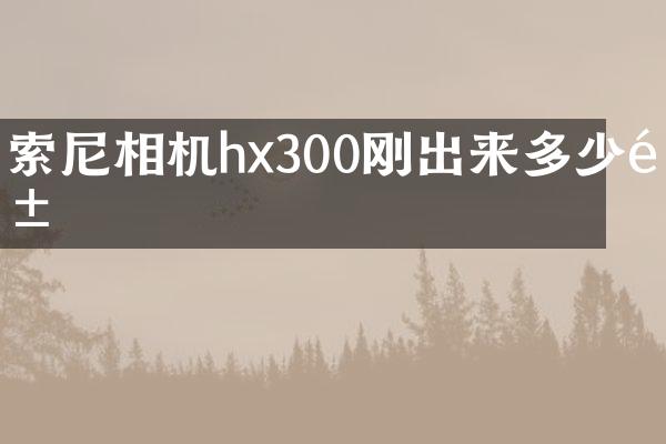 相机hx300刚出来多少钱