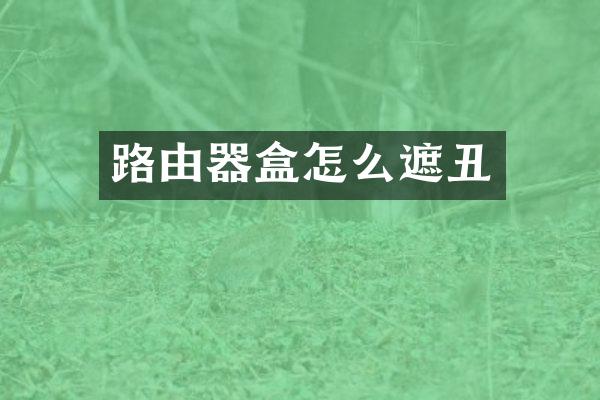 路由器盒怎么遮丑