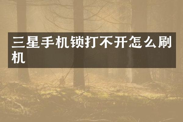 三星手机锁打不开怎么刷机