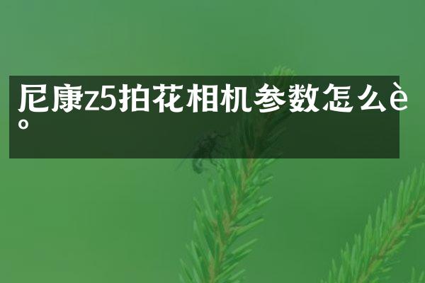 尼康z5拍花相机参数怎么调