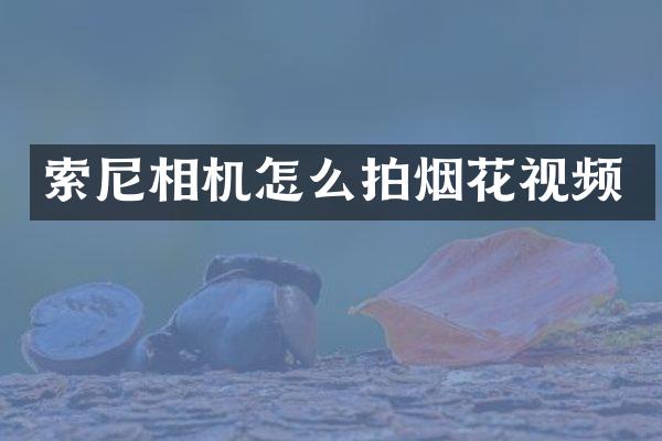 相机怎么拍视频