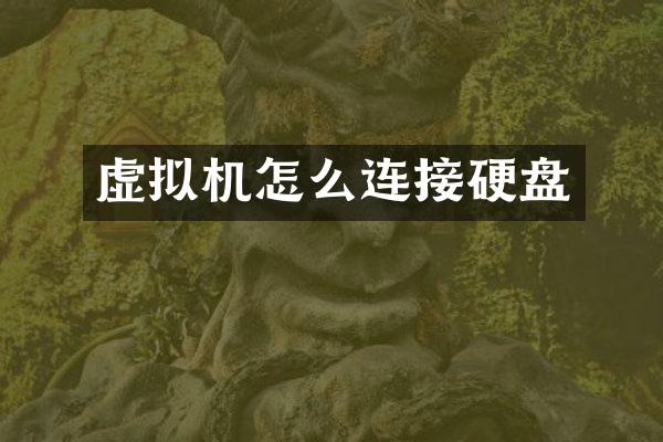虚拟机怎么连接硬盘