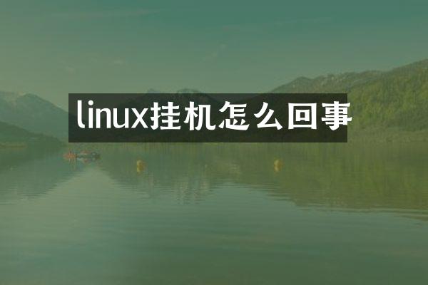 linux挂机怎么回事
