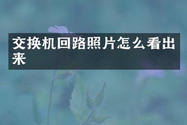 交换机回路照片怎么看出来
