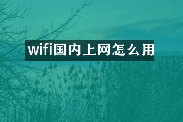 wifi国内上网怎么用