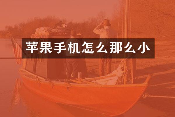 苹果手机怎么那么小