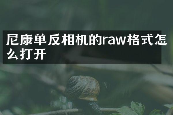 尼康单反相机的raw格式怎么打开